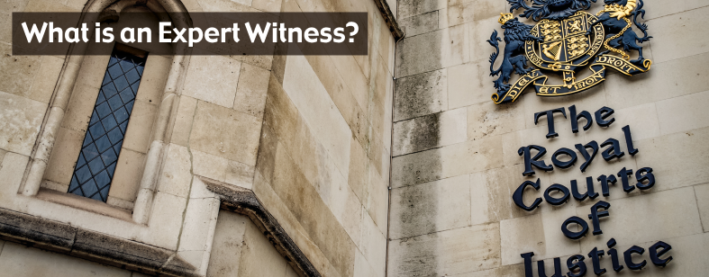 legal definition of expert witness
